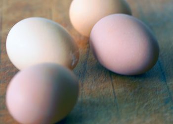 බිත්තර පහට ‘දඩය’ ලක්ෂ පහයි