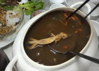 එකම පවුලේ හයදෙනාටම මරු කැඳවූ හූනා