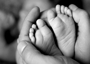 ” නිවේන් ” නිවනින් සැනසේවා