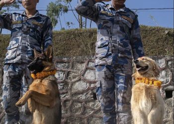 නේපාලයේ සුනඛ දිනය ගැන ඔබ දැන සිටියා ද ?