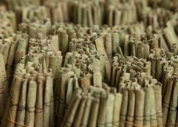 බීඩි කර්මාන්තයේ ගැටලු විසඳන්න කඩිනම් පියවර