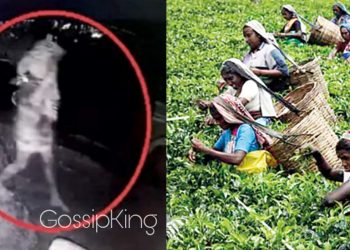 හැටන් දික්ඔය වතු නිවාසවලට රෑට එන හොල්මන්!