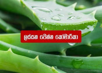 ලස්සන ඉන්න ඕන නම් කෝමාරිකා අනිවාර්යයි