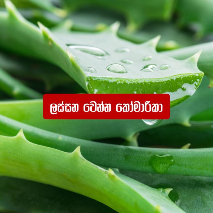 ලස්සන ඉන්න ඕන නම් කෝමාරිකා අනිවාර්‍යයි