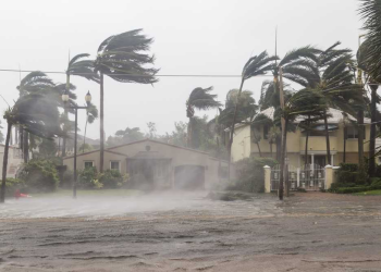 කාලගුණ විද්‍යා දෙපාර්තමේන්තුවෙන් සුළං පිළිබඳ අවවාදාත්මක නිවේදනයක්: පළාත් කිහිපයකට තද සුළං!