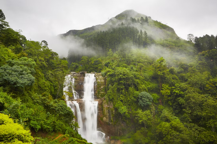 නුවරඑළිය: “පුංචි එංගලන්තයේ” සුන්දරත්වය සොයා යන ගමනක්!