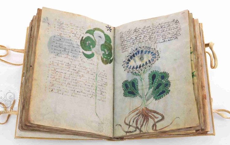 ලෝකයේ දක්ෂම අයටවත් අදටත් කියවන්න බැරි, අද්භූතම පොත! පිටසක්වලයින්ගේ පොතක්ද? නැත්නම්…