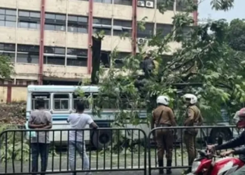 කොළඹ මැදින් ගිය බස් එකක් උඩට කඩා වැටුණු යෝධ ගහ! මොකද වුණේ?