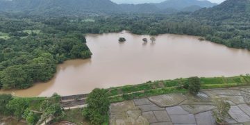 වැල්ලවායේ ගොවීන්ට අහස පොළොව පෙරළුණාද? කුඹුරු අක්කර සිය ගණනක් එක රැයින් විනාශයි!